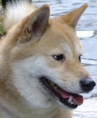 Minami Hsu帶著妞妞來報到囉！