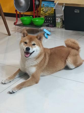 Doris帶著斗財來報到囉！