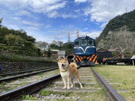 Christine Hsieh帶著大福來報到囉！