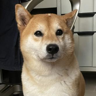 Erin Sung帶著張阿三來報到囉！