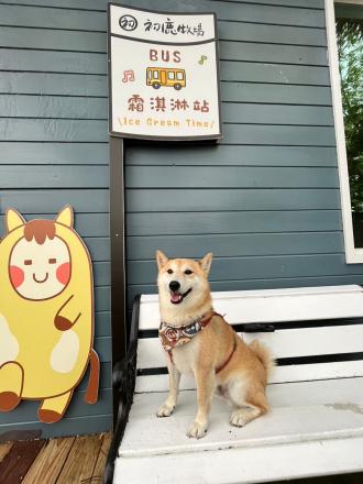 陳奕文帶著豆皮來報到囉！