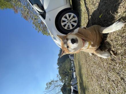 Wei Rou Dai帶著Coni來報到囉！