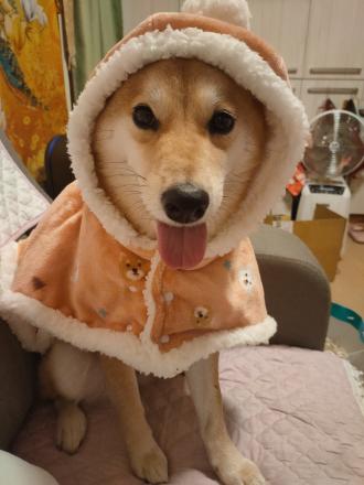 Emily K帶著葉柴宇（Lucky ）來報到囉！