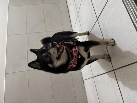 王泳茜帶著沅寶來報到囉！