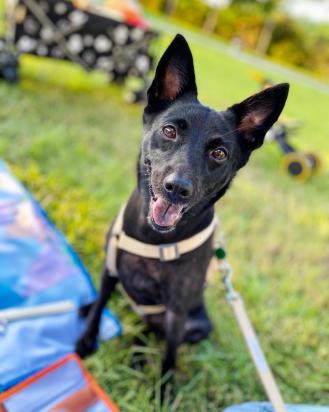 Cheng帶著Lucky來報到囉！