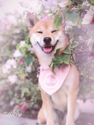 葉筱鳳帶著妞妞來報到囉！