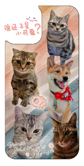 Q仔糖糖媽帶著糖糖來報到囉！