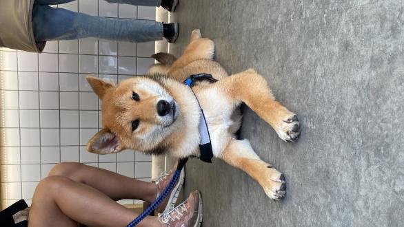 唐三藏帶著唐三藏來報到囉！