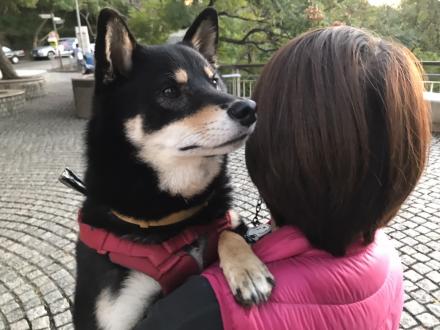 Yajung Lee帶著摩卡來報到囉！