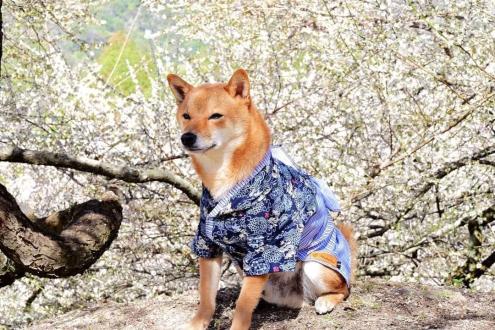 Icecokie Jamei帶著澄澄來報到囉！