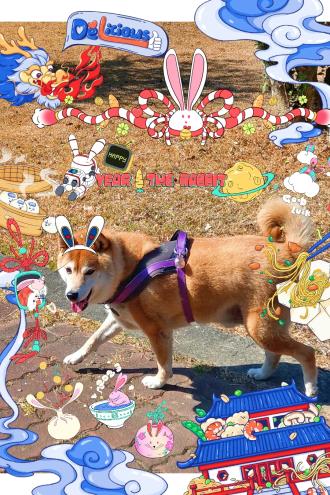 Fish Lin帶著阿金來報到囉！