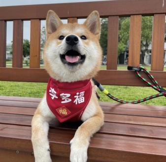 顏婕羽帶著李多福來報到囉！