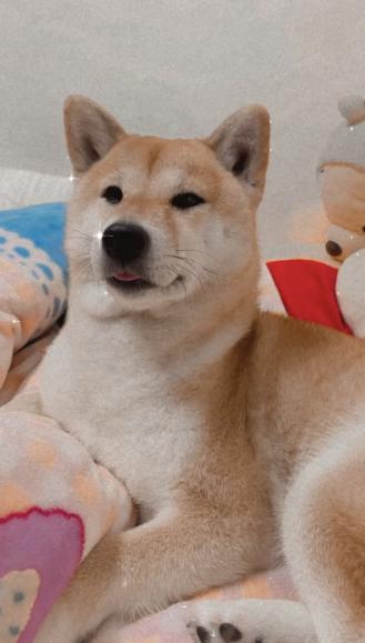 馨儀帶著嘟嘟來報到囉！