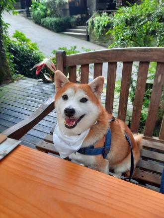 Yuanti帶著妮妮來報到囉！