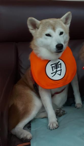 甘寈楓帶著黃娜娜來報到囉！