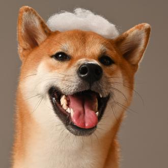 林慧芳帶著一郎來報到囉！