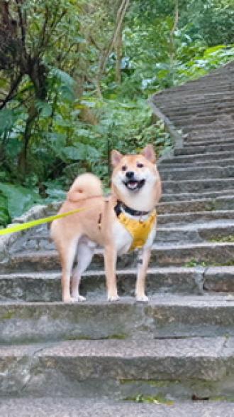 林蔓雯帶著林嗨啾來報到囉！