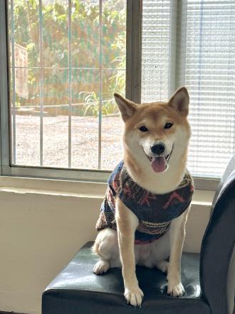 柚子媽帶著柚子來報到囉！