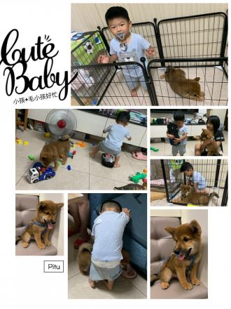 樂樂帶著樂樂來報到囉！