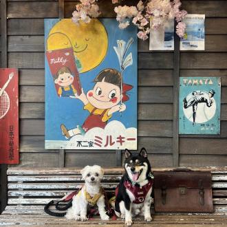 蔣公子帶著酷比來報到囉！