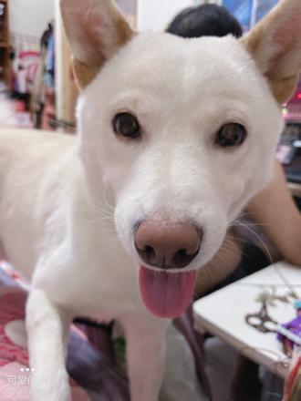 小潔帶著yoyu來報到囉！