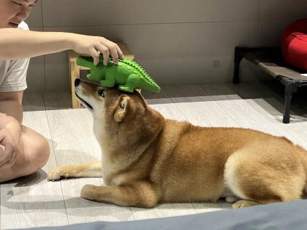 Christina Yuan帶著Cola來報到囉！