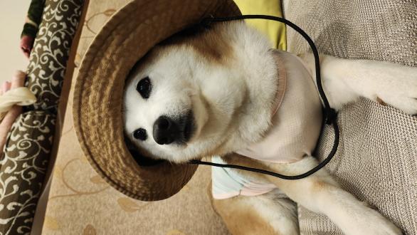 yuanti chou帶著妮妮來報到囉！