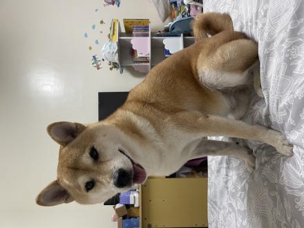 Vivi Chiu帶著Bubu來報到囉！