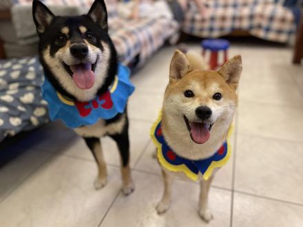 Rita Yeh帶著Shiro,Kuro來報到囉！