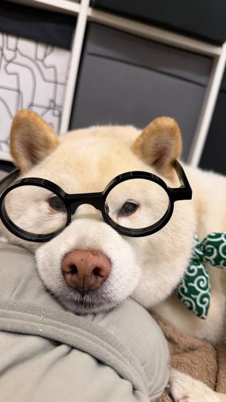 海尼根帶著海尼根來報到囉！